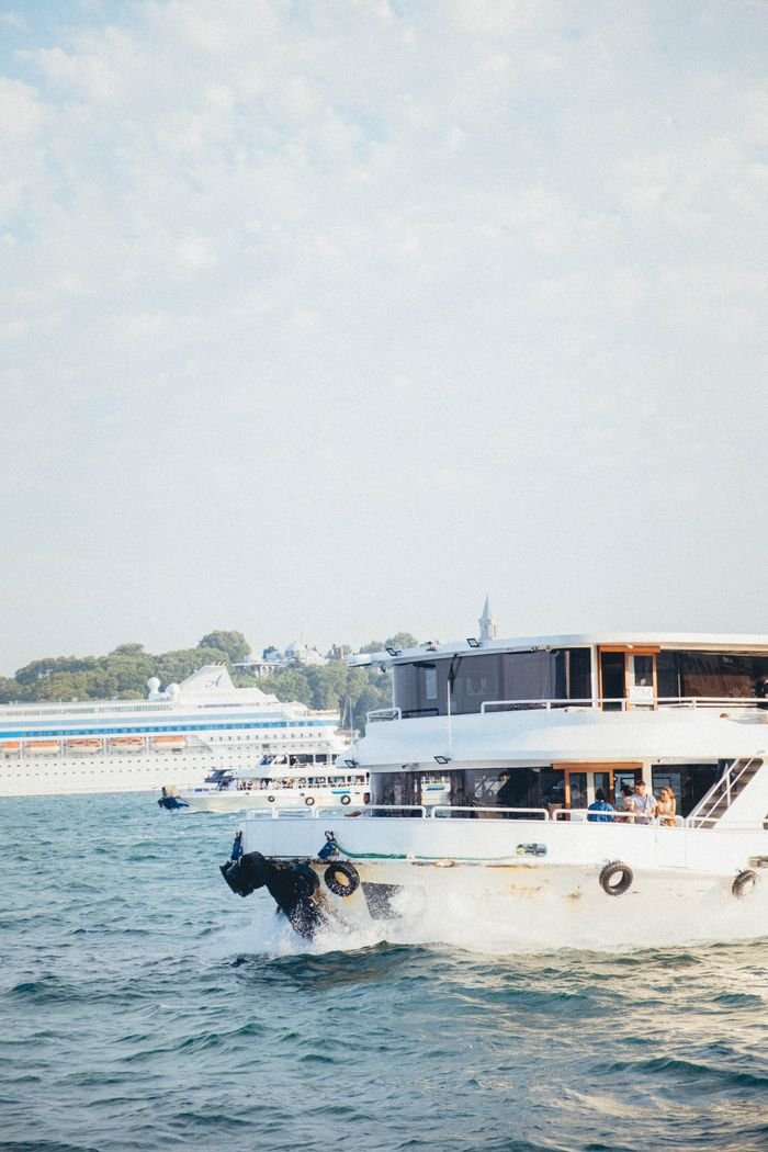 A tranquil view of cruise ships navigating calm waters under clear skies, capturing a sense of leisure and travel.
