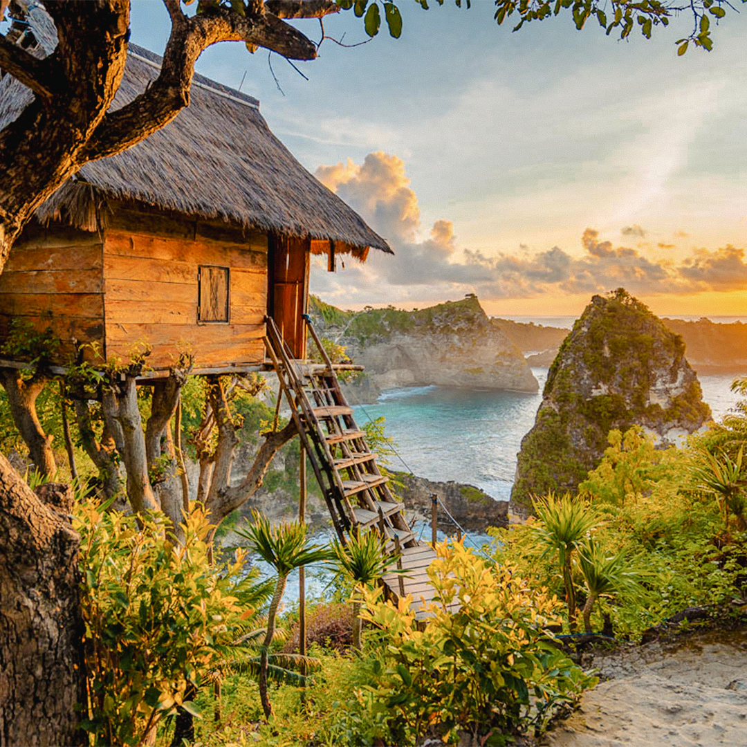 Molenteng Tree House