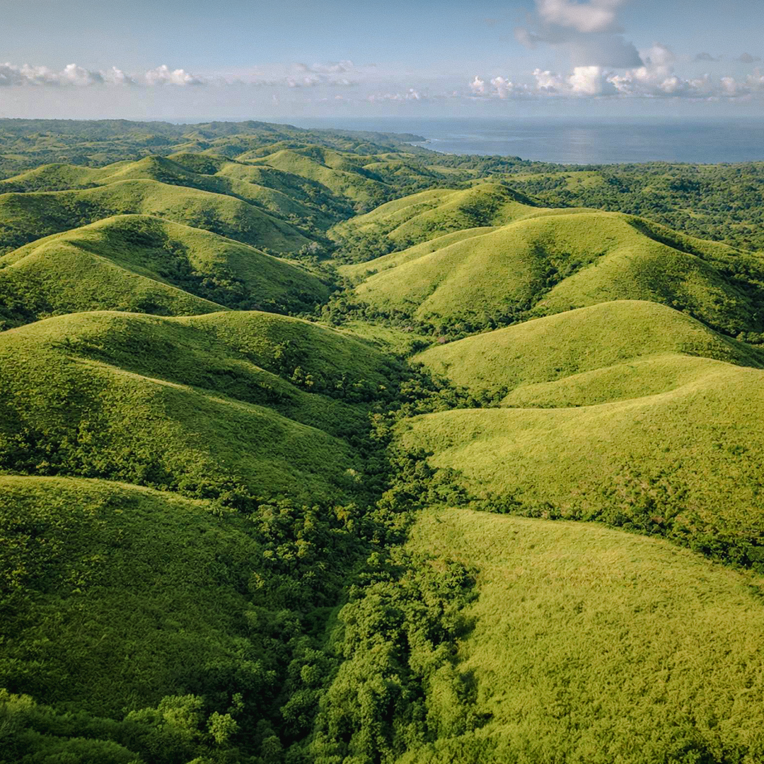 Teletubies Hill